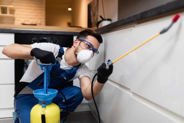 Best Pest Control for Restaurants  in North Lakeport, CA