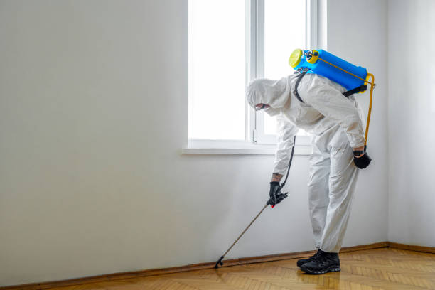 Best Exterminator Services  in North Lakeport, CA