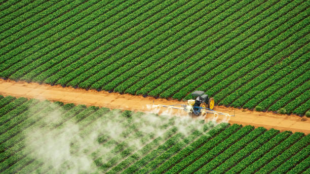 Best Commercial Pest Control Services  in North Lakeport, CA