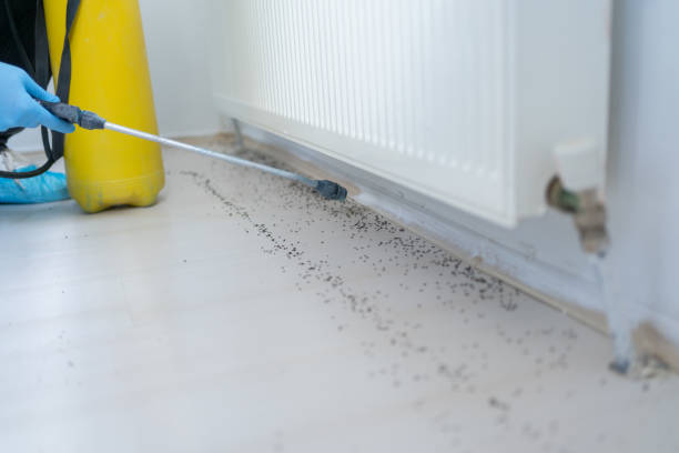 Best Pest Prevention Services  in North Lakeport, CA