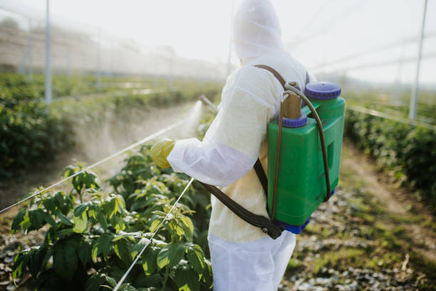 Best Residential Pest Control  in North Lakeport, CA